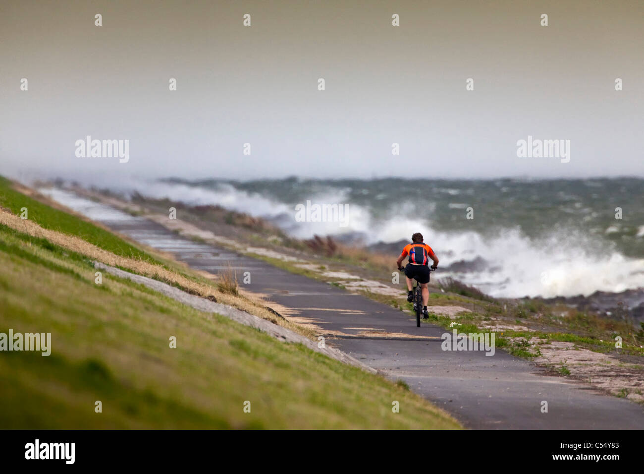 The Netherlands, Rutten, Cyclist on dike in storm. Lake called: IJsselmeer Stock Photo