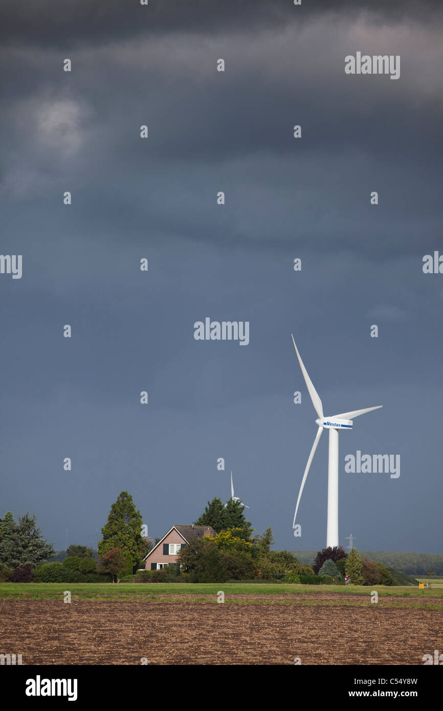 The Netherlands, Almere, Wind turbines, windmills and farm Stock Photo