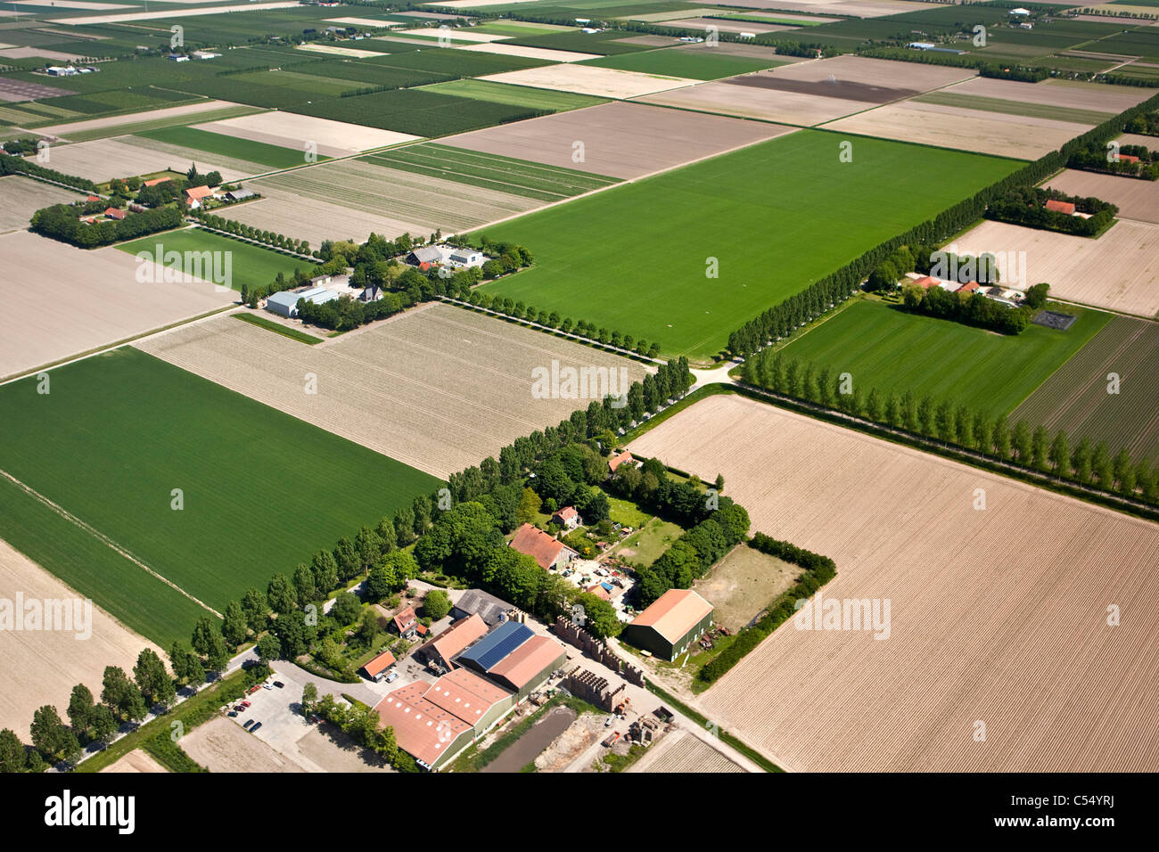 The Netherlands, Ens, Farms and farmland in polder landscape. Aerial Stock Photo
