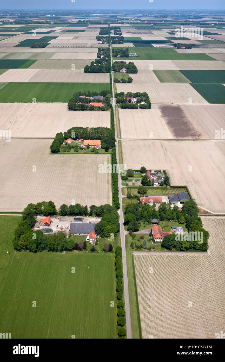 The Netherlands, Ens, Farms and farmland in polder landscape. Aerial. Stock Photo