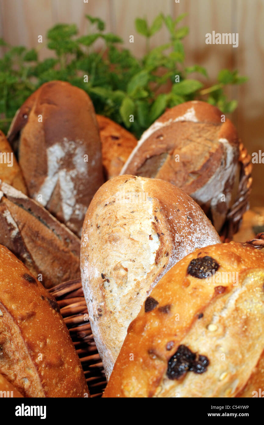 Selection of bread rolls in baskets with herbs Stock Photo Alamy