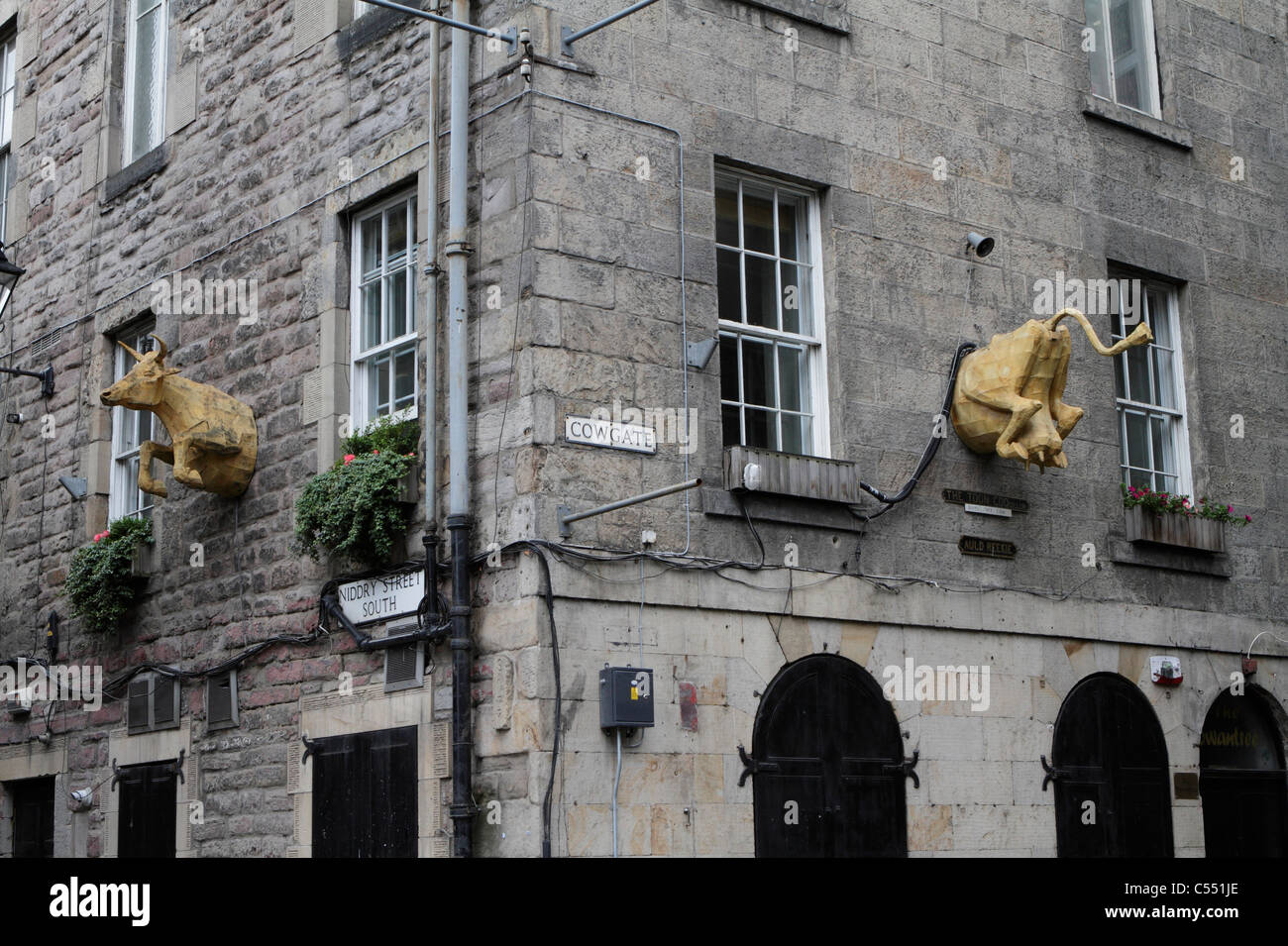 Building in Edinburgh with cows head and behind sticking out of the wall in South Niddry St and Cowgate near South Bridge Stock Photo