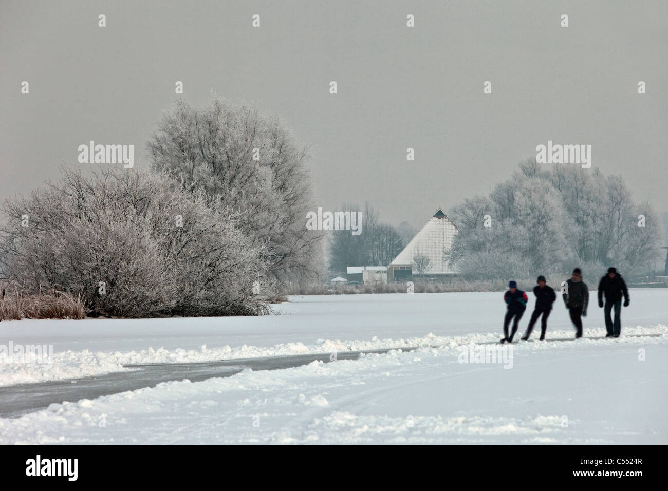 The Netherlands, Gaastmeer, Skating on frozen lake in frost and snow landscape. Background farm. Stock Photo