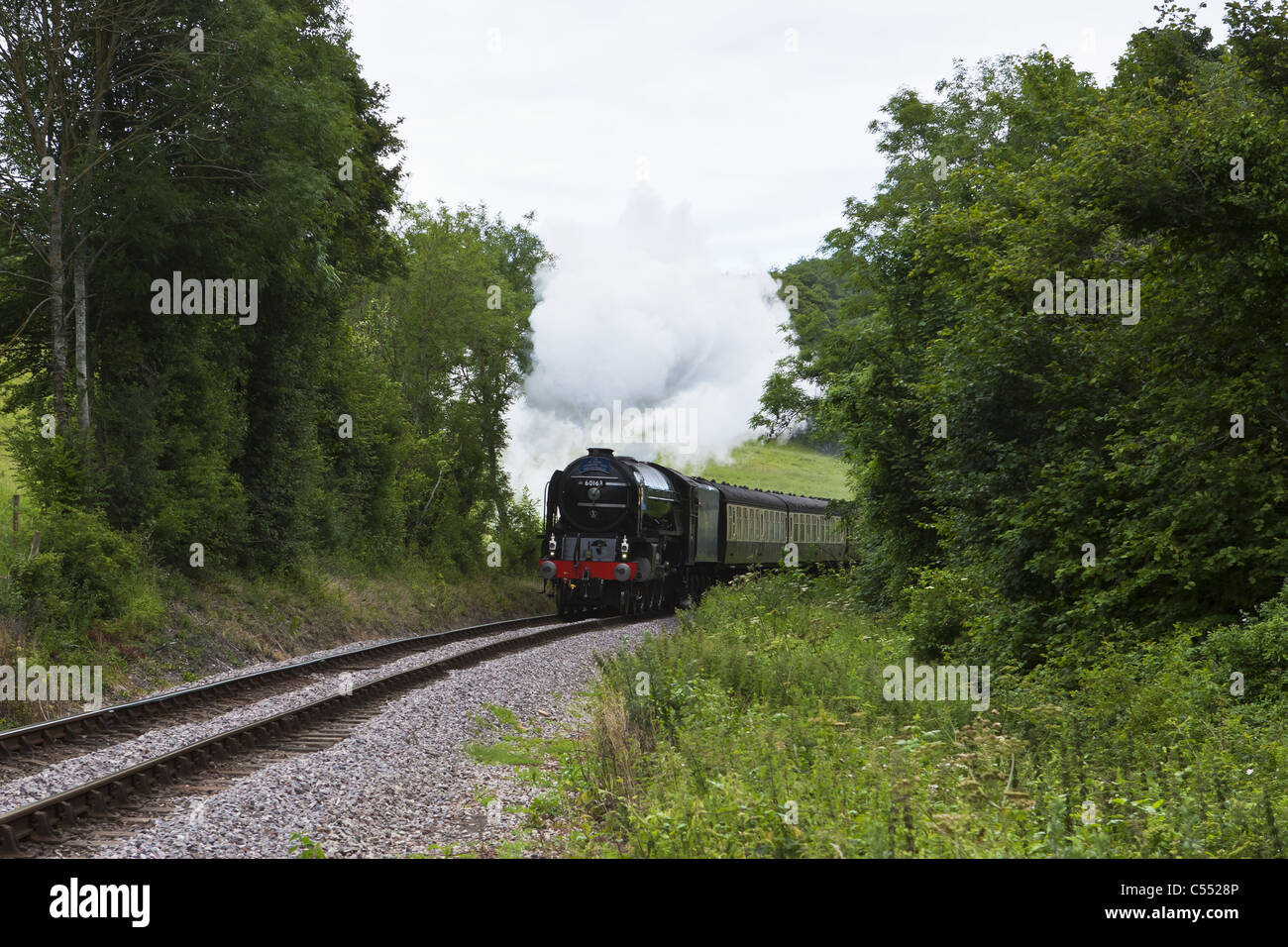 Tornado 60163 on the West Somerset Railway Stock Photo