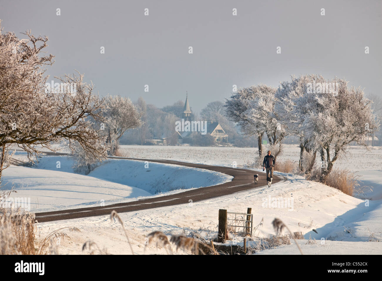 The Netherlands, Idsegahuizum, Man walking with dogs on country road in frost and snow landscape. Stock Photo