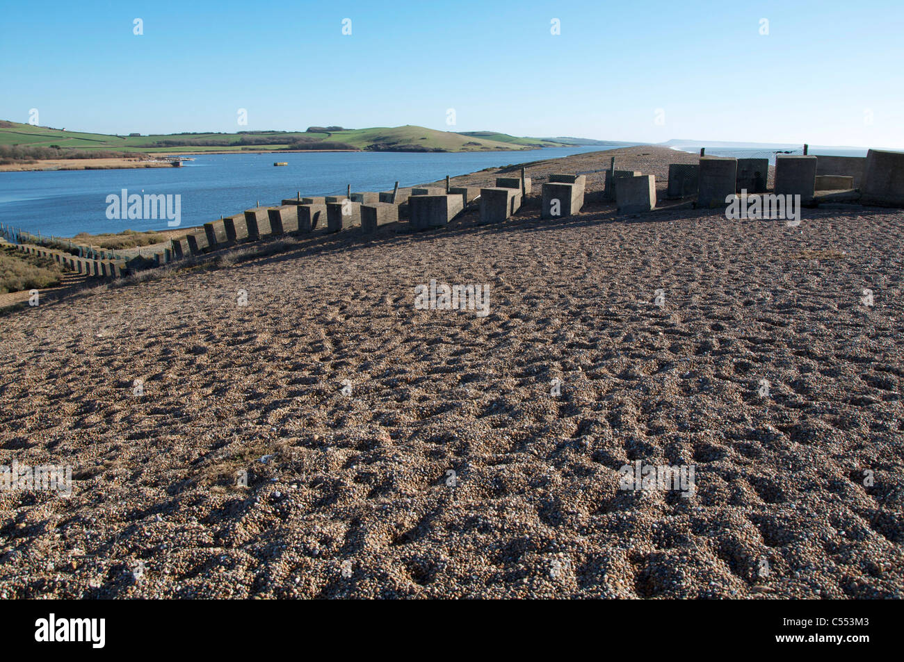 Dragons teeth, concrete antitank obstacles, still remaining on Chesil