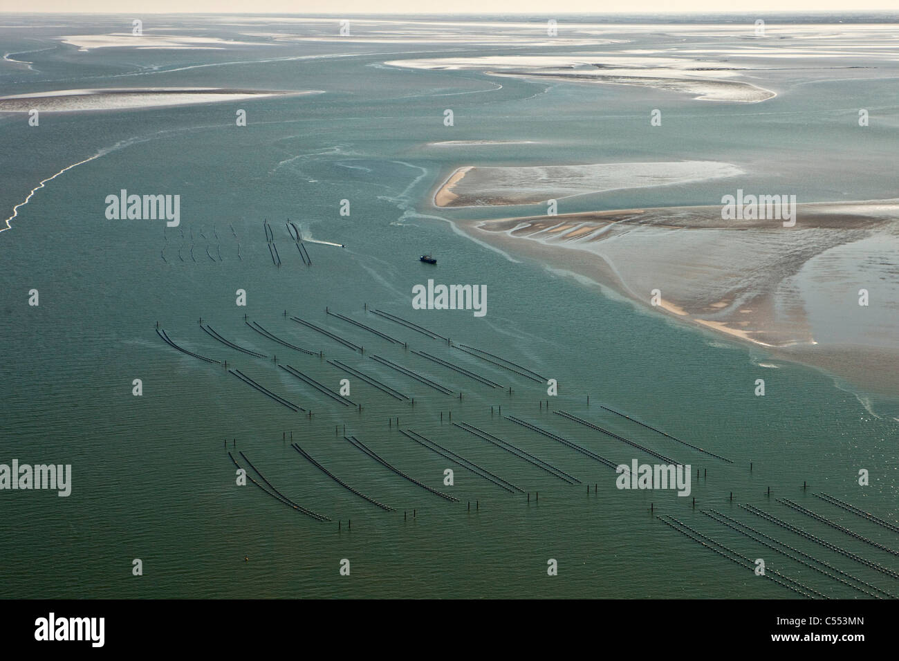 The Netherlands, Island Terschelling, group of islands called Wadden Sea. Mussel, mussels  culture. Aerial. Stock Photo