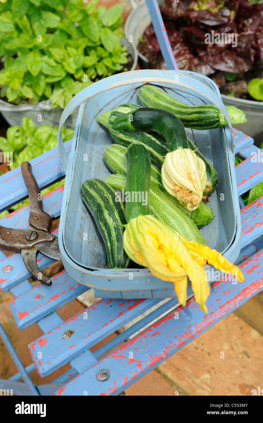 Grown In Norfolk England High Resolution Stock Photography and Images ...