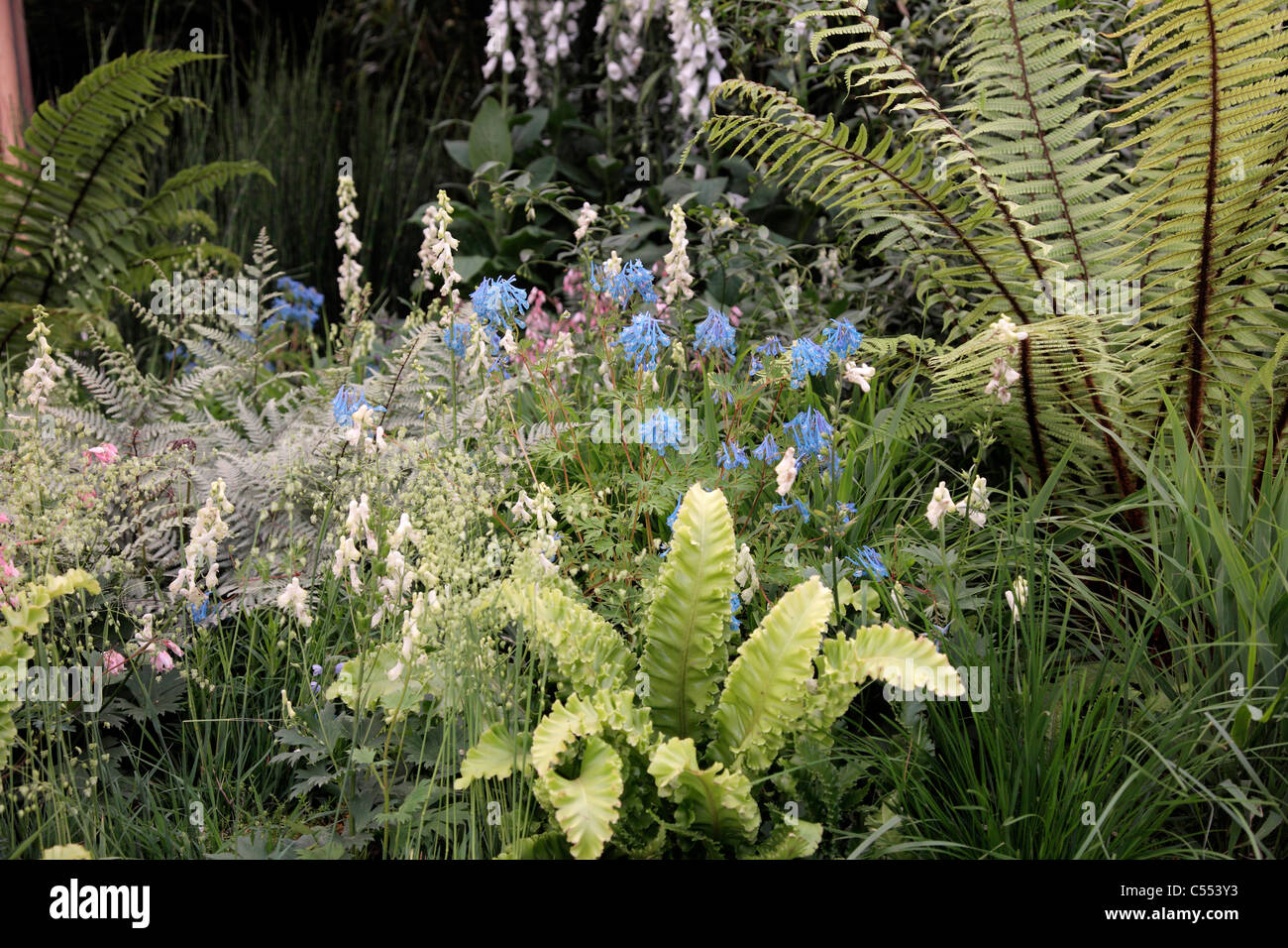 RHS Chelsea Flower Show 2011 'The Homebase Cornish Memories Garden' Designer: Thomas Hoblyn Stock Photo