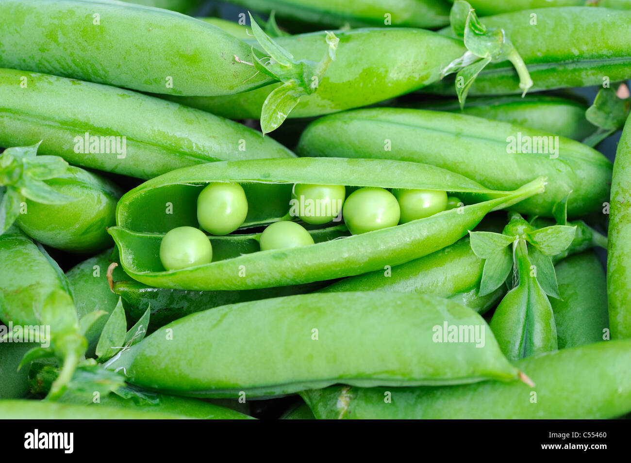 Freshly picked garden peas, Stock Photo