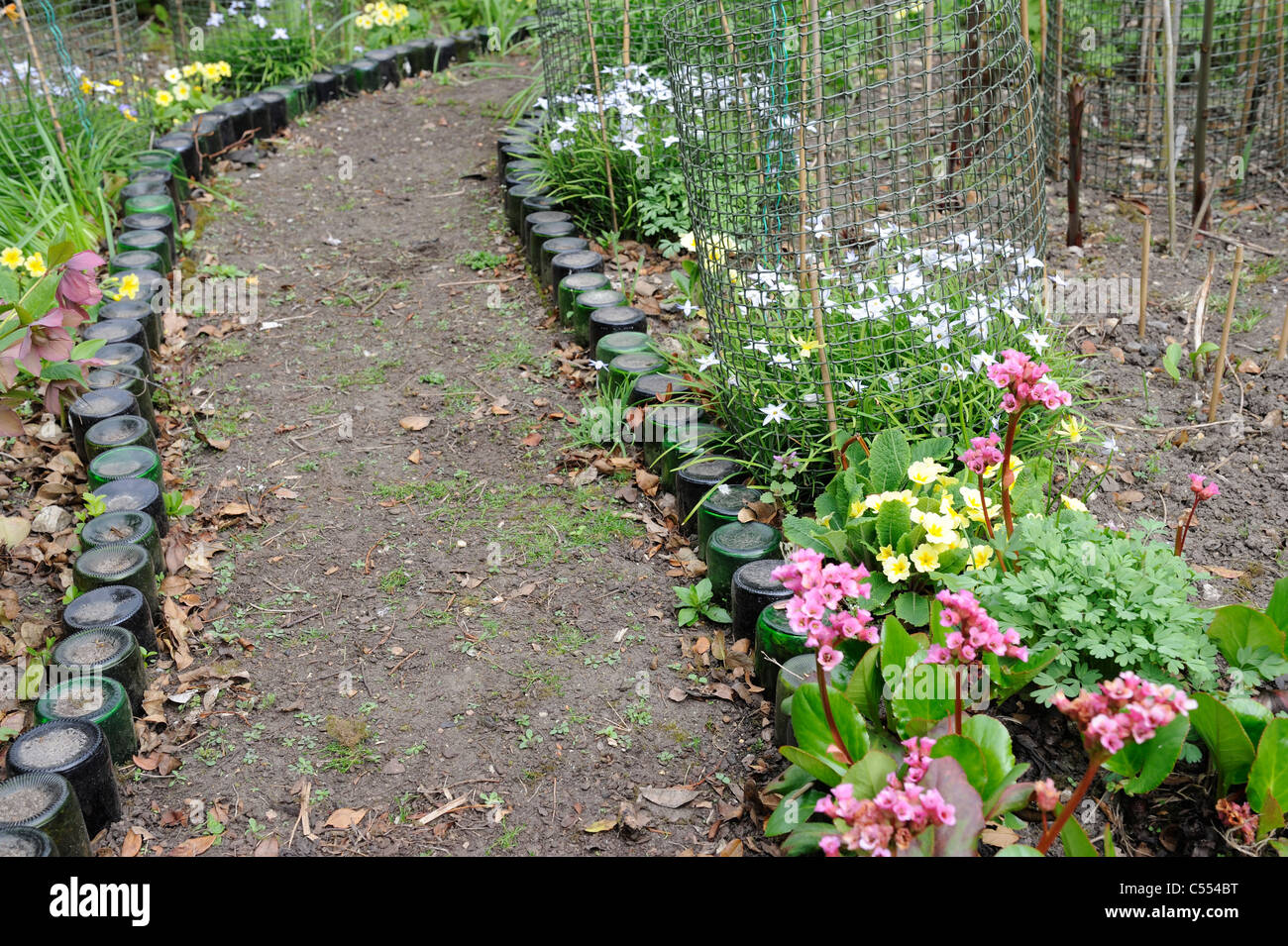 Wine bottle lined garden path in spring with primulas and spring
