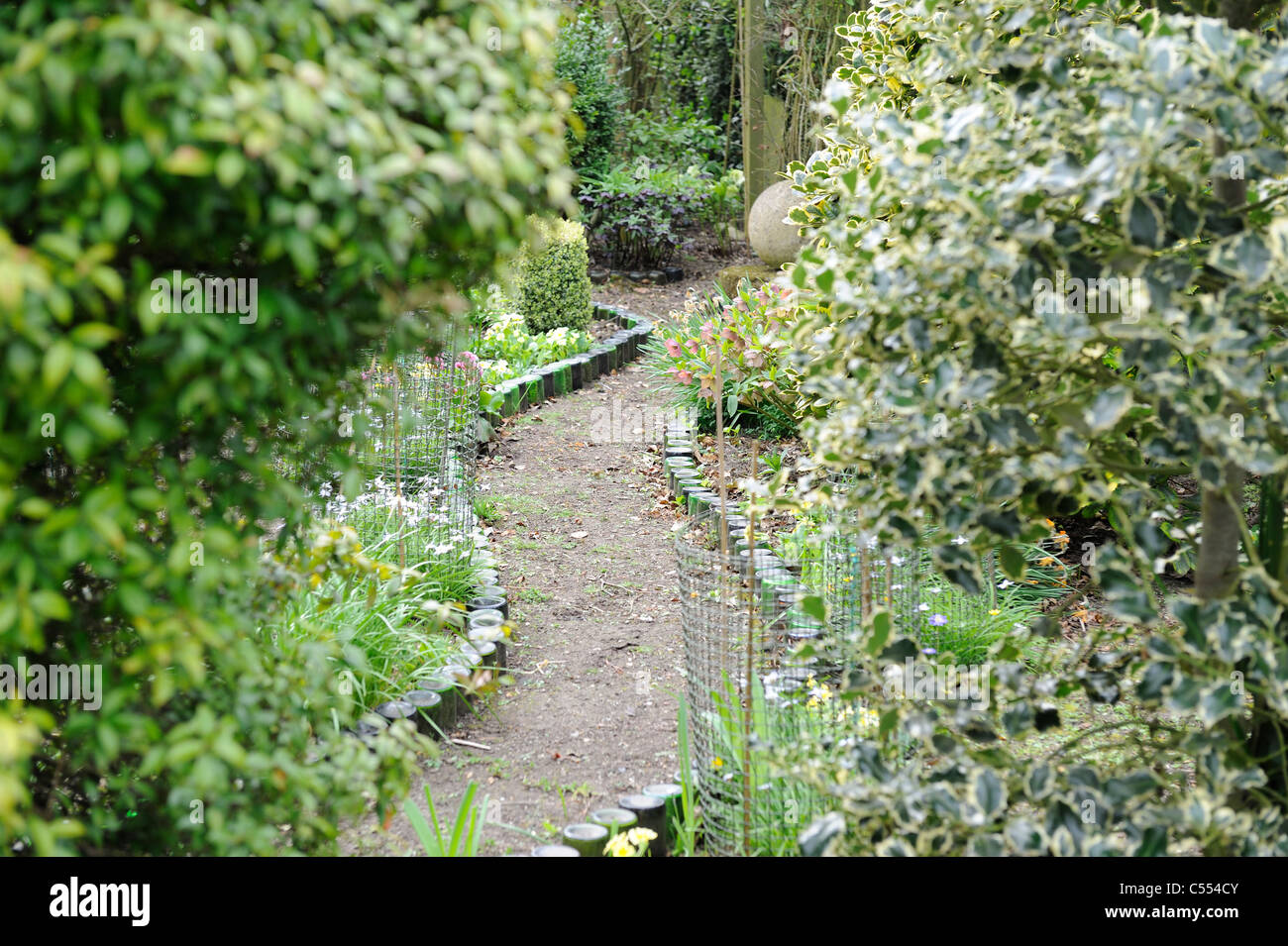 Garden featuring Wine bottle lined garden path in spring , Norfolk, England, April Stock Photo