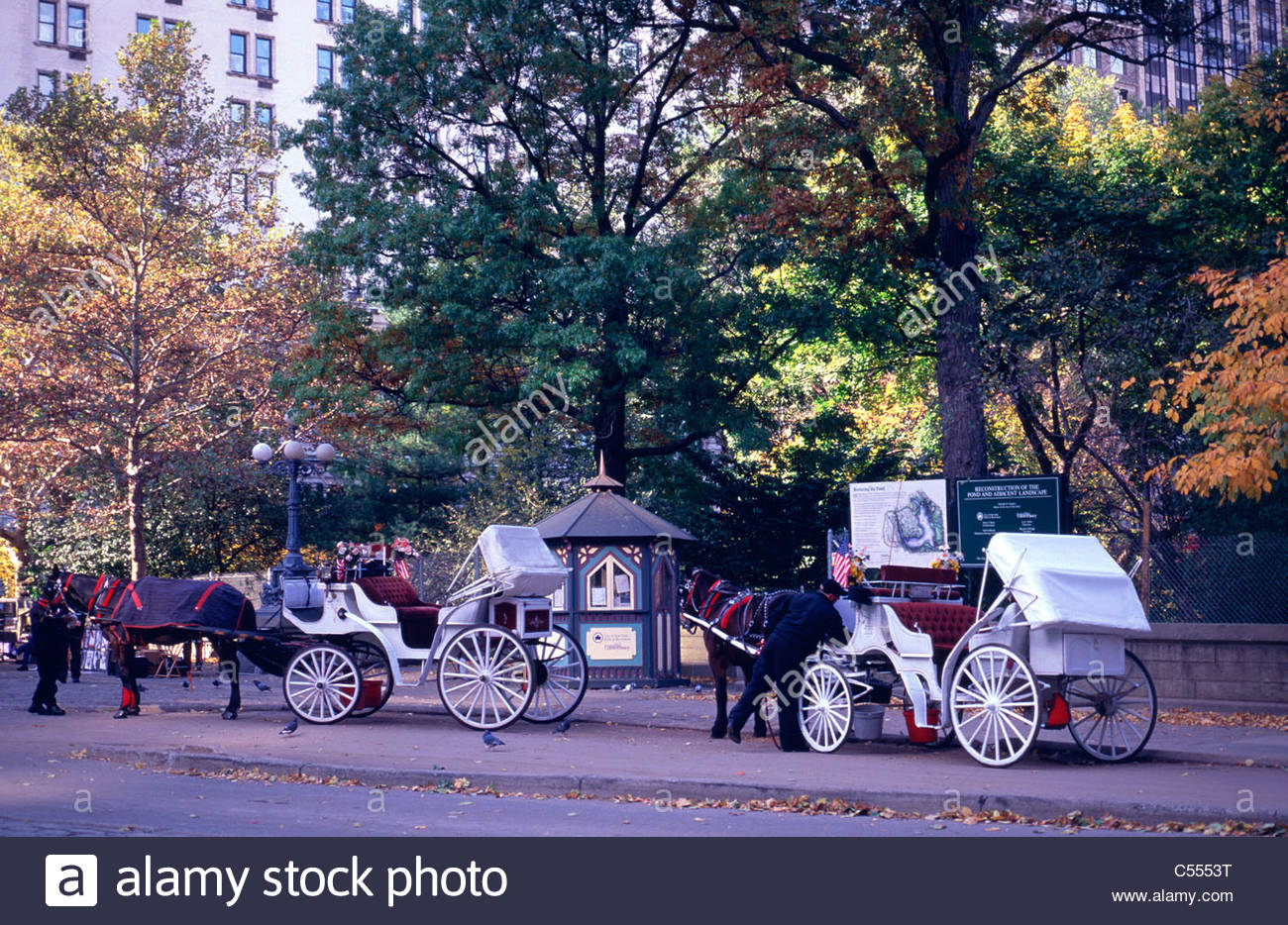 New York City Horse Drawn Stock Photos & New York City Horse Drawn ...