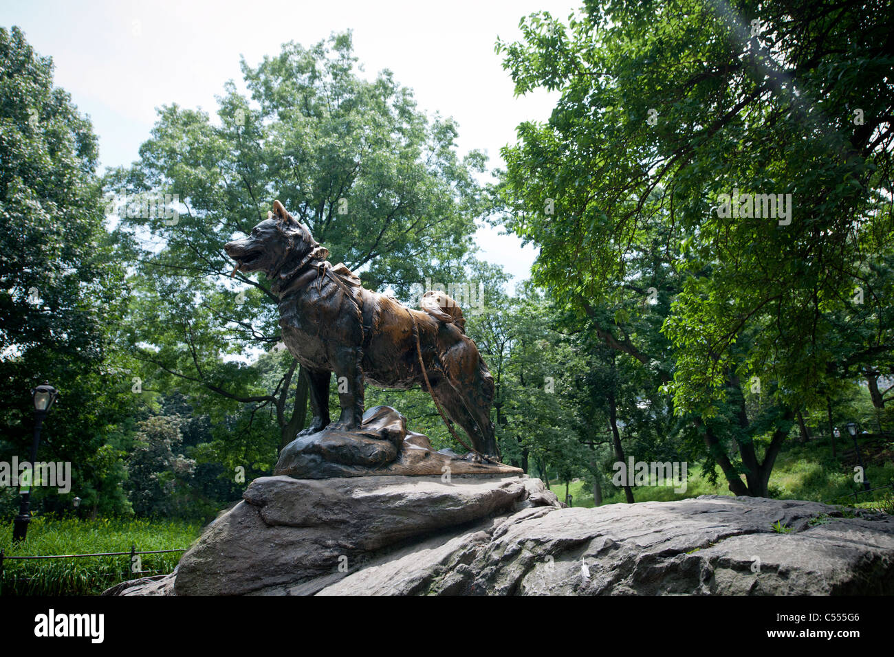 Balto iditarod best sale