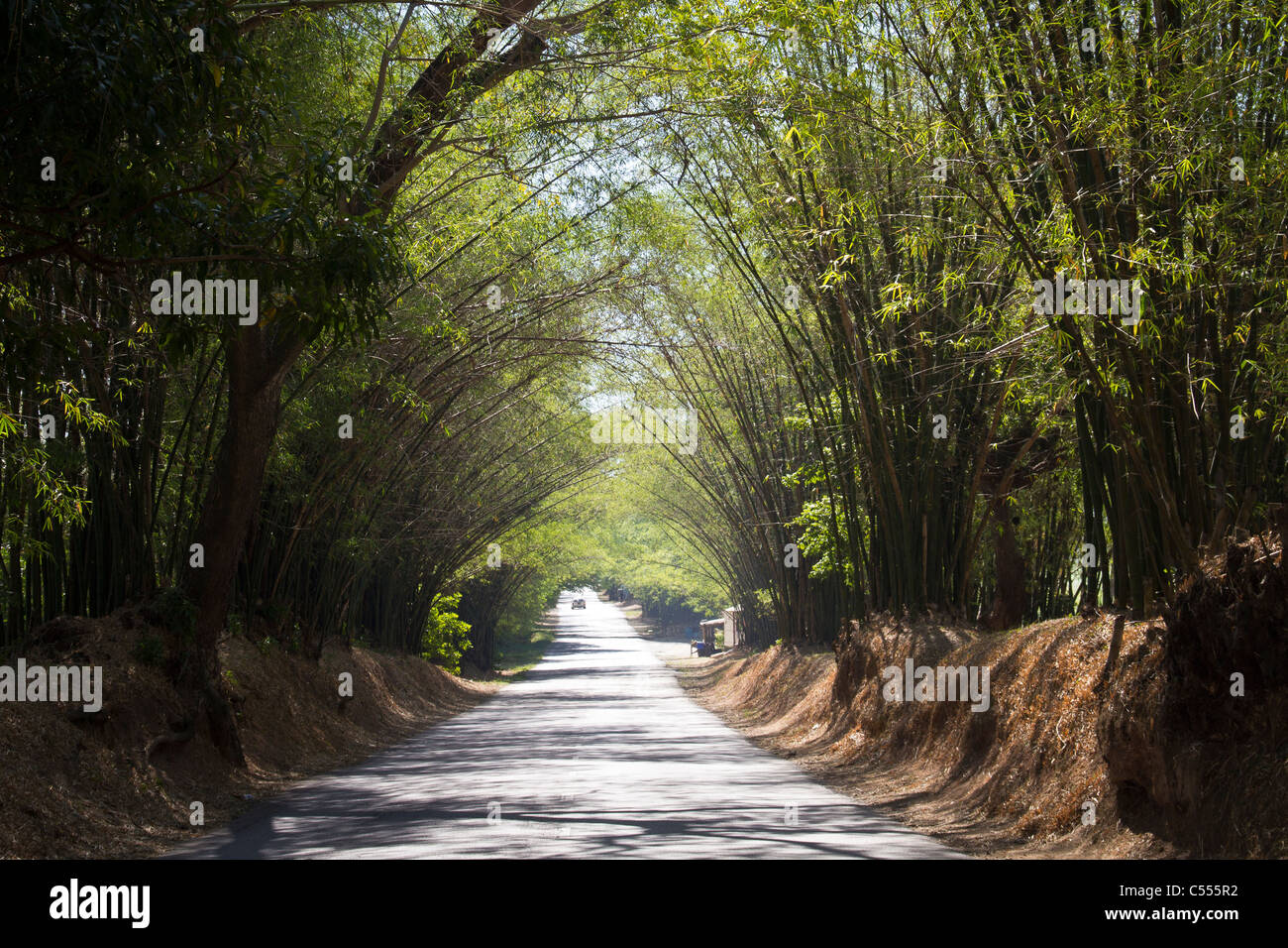 Jamaica Road High Resolution Stock Photography and Images Alamy