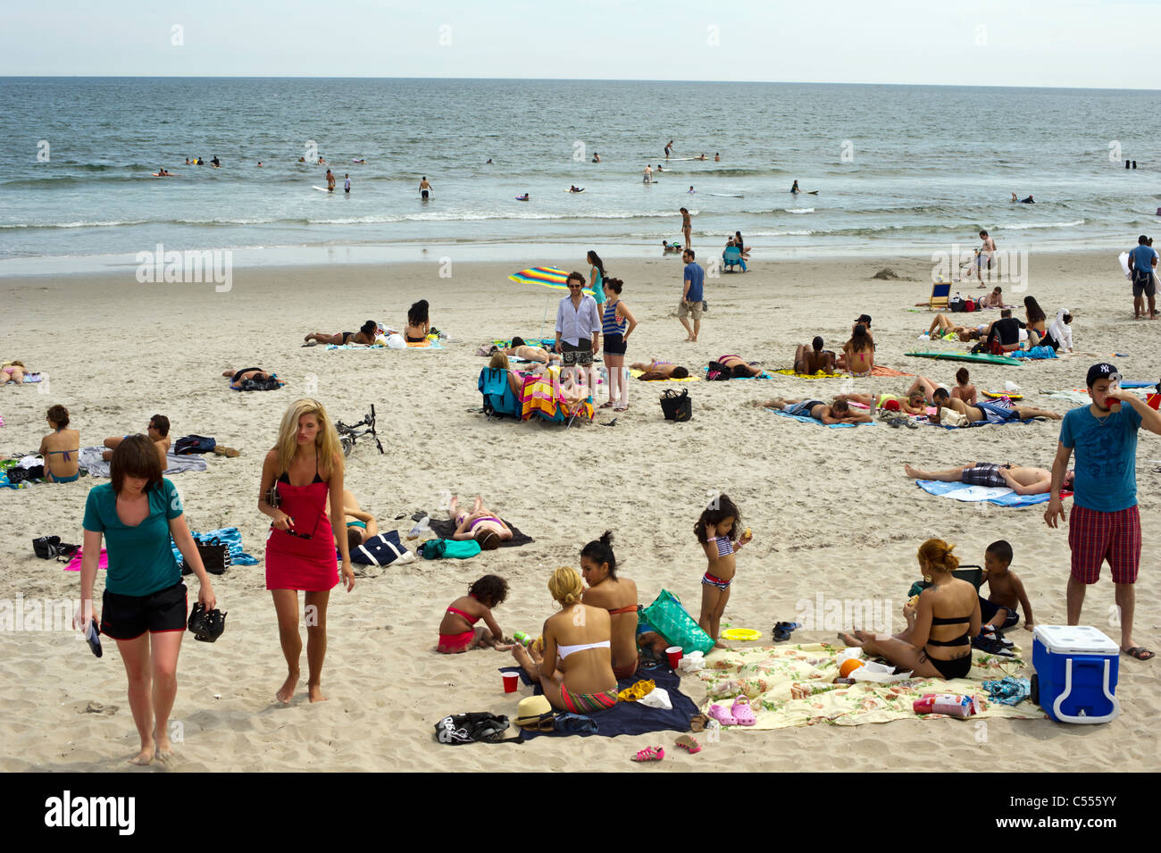 Does Rockaway Beach Allow Dogs
