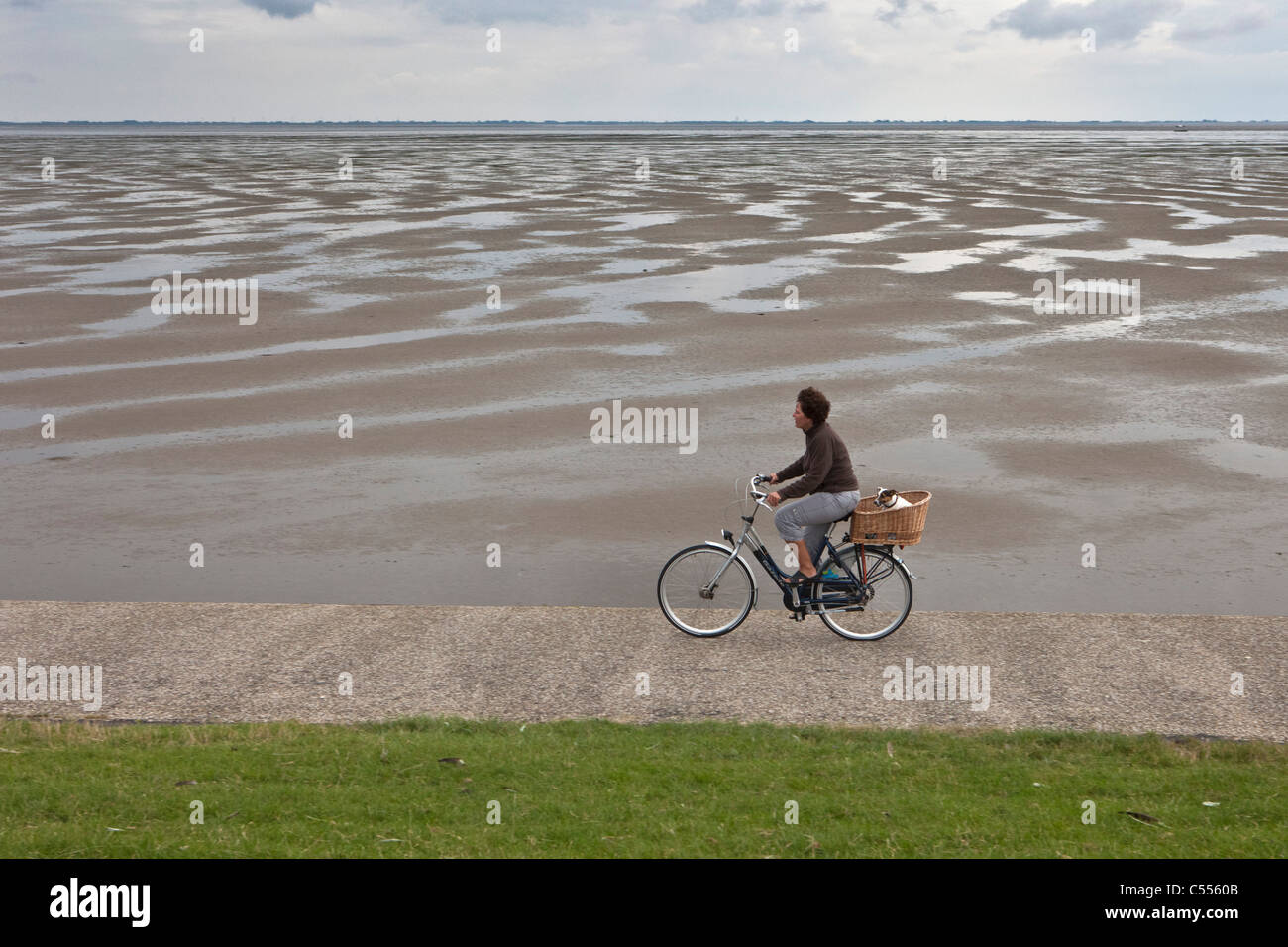 The Netherlands, Ballum, Ameland Island, belonging to Wadden Sea Islands. Woman on bicycle and dog on dike Stock Photo