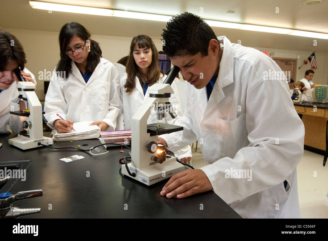 Hispanic students wears lab coats while using microscope in biology class at the STEM Early College High School in Pharr TX Stock Photo