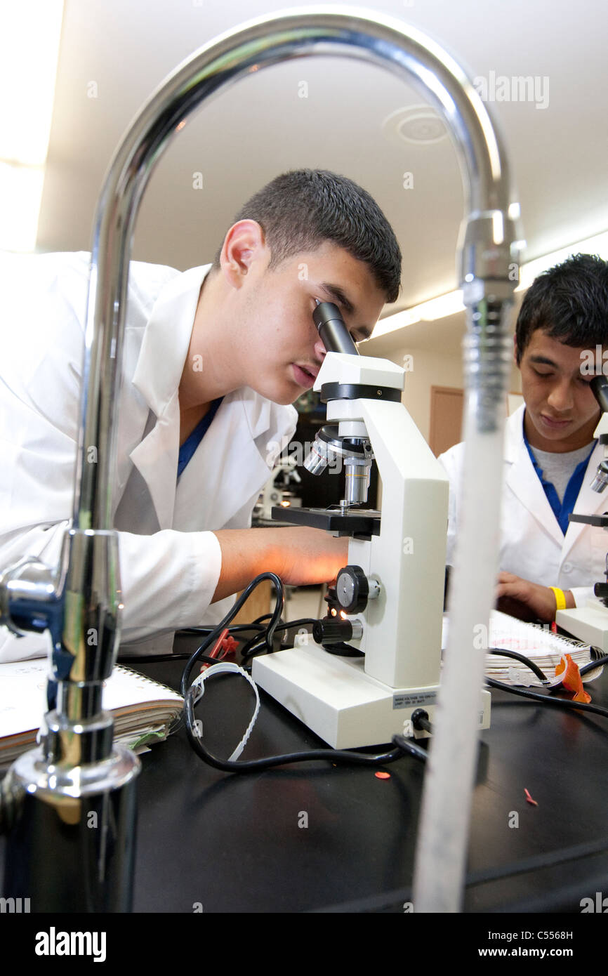 Science inquiry classroom hires stock photography and images Alamy