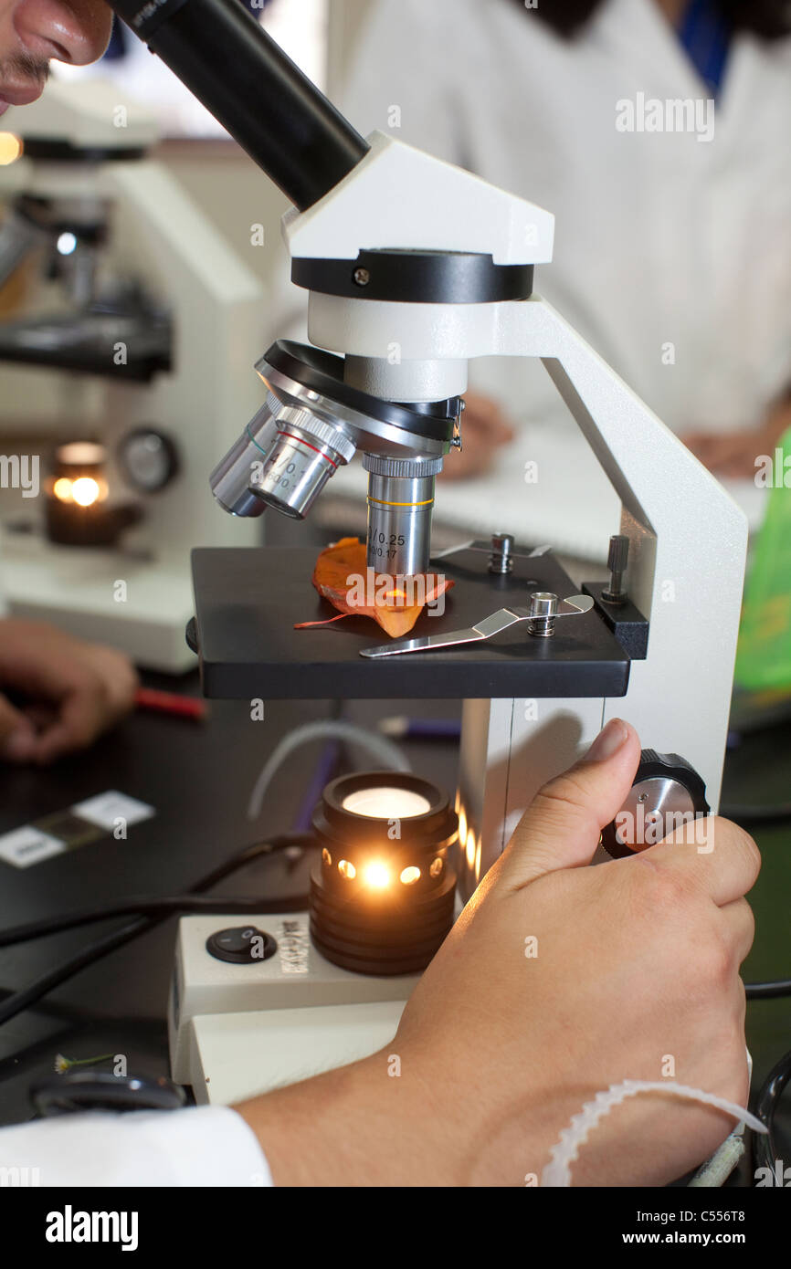 male student uses microscope in science classroom to view enlargement