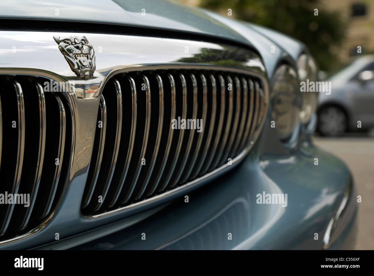 Jaguar car logo hires stock photography and images Alamy