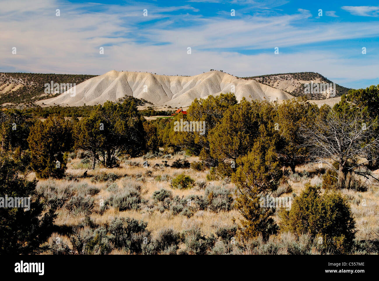 USA, Colorado, Ridgway, desert landscape Stock Photo