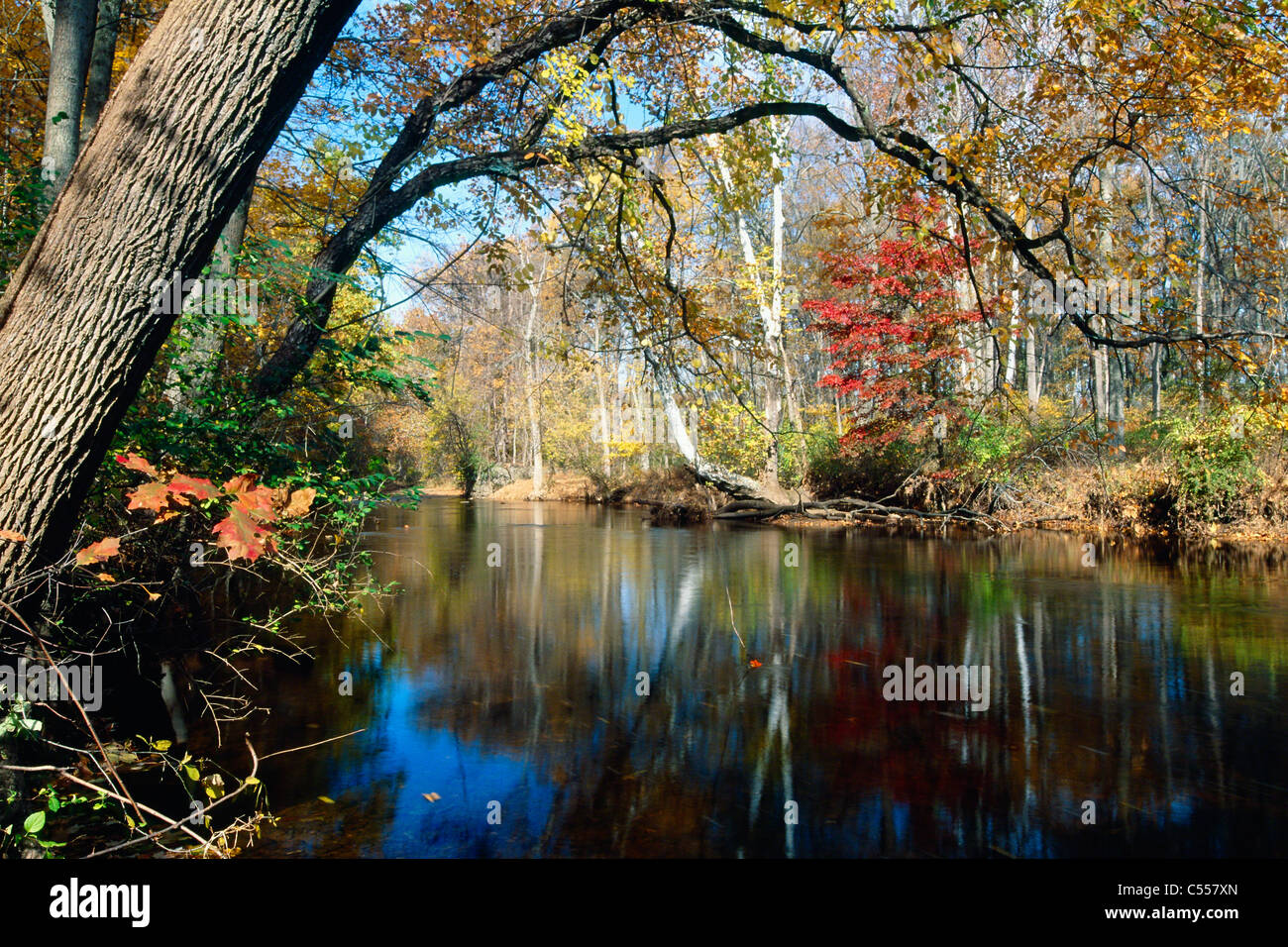 Hunterdon county usa hi-res stock photography and images - Alamy