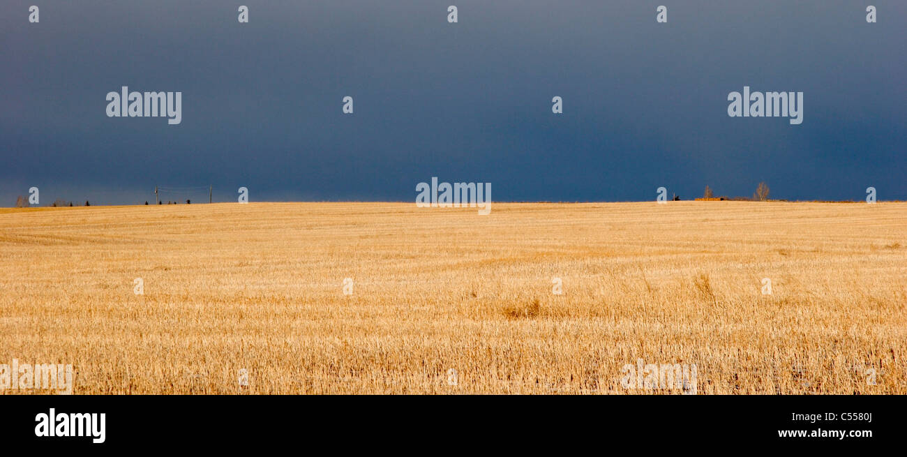 Grassland with stormy sky Stock Photo - Alamy