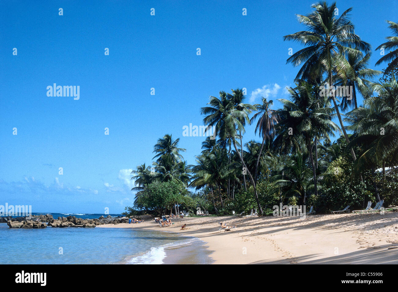 Puerto Rico, Dorado, beach with palm trees Stock Photo Alamy