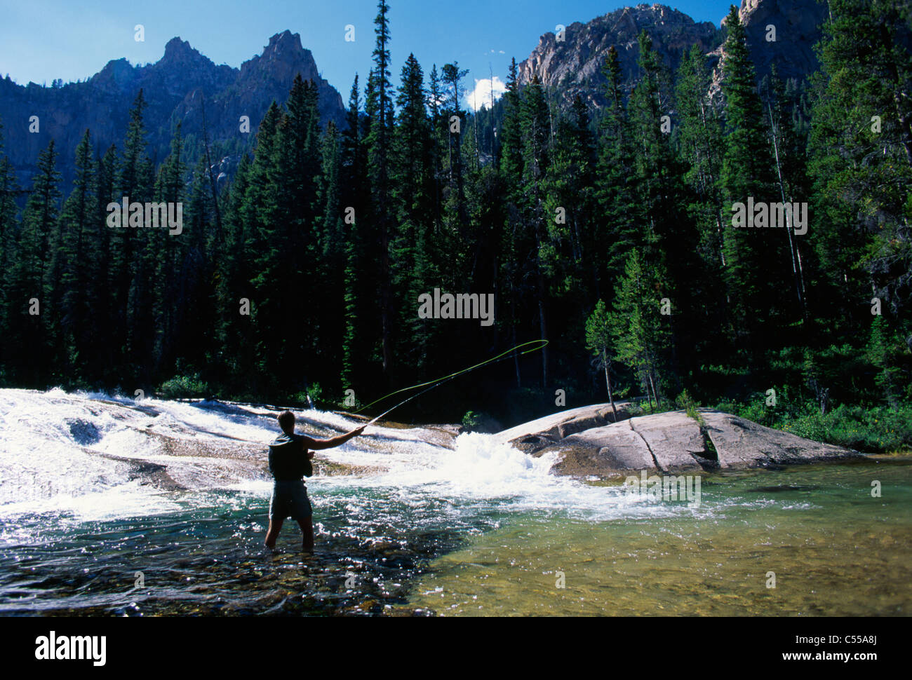 Man flyfishing in a river, Salmon River, SalmonChallis National