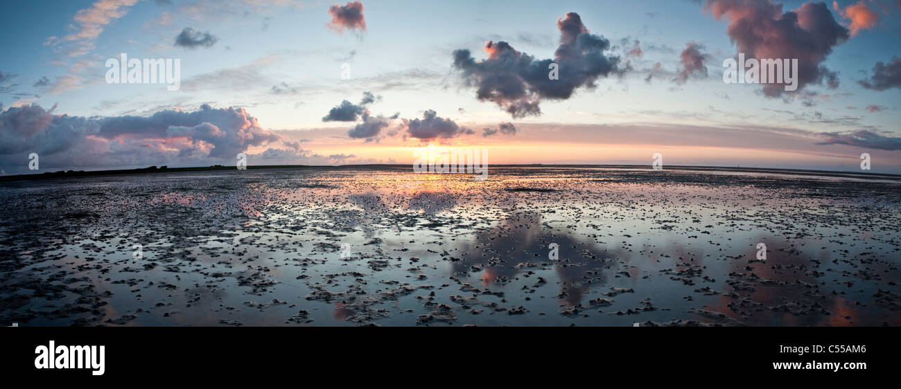 The Netherlands, Ballum, Ameland Island, belonging to Wadden Sea Islands. Unesco World Heritage Site. Mud flats. Sunrise. Stock Photo