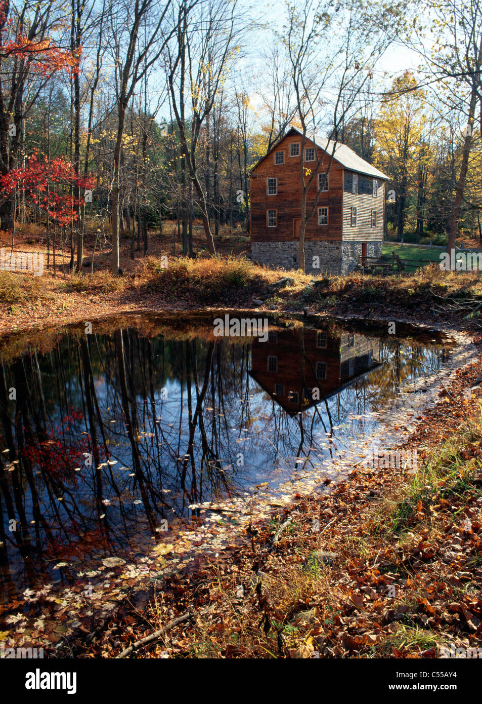 Reflection of trees in water, Millbrook Mill, Delaware Water Gap