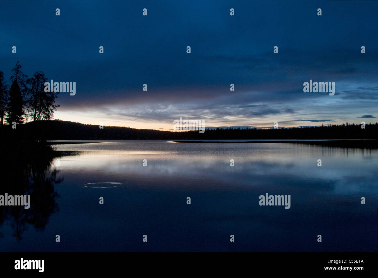 Lake at dawn, Lac Le Jeune, British Columbia, Canada Stock Photo Alamy