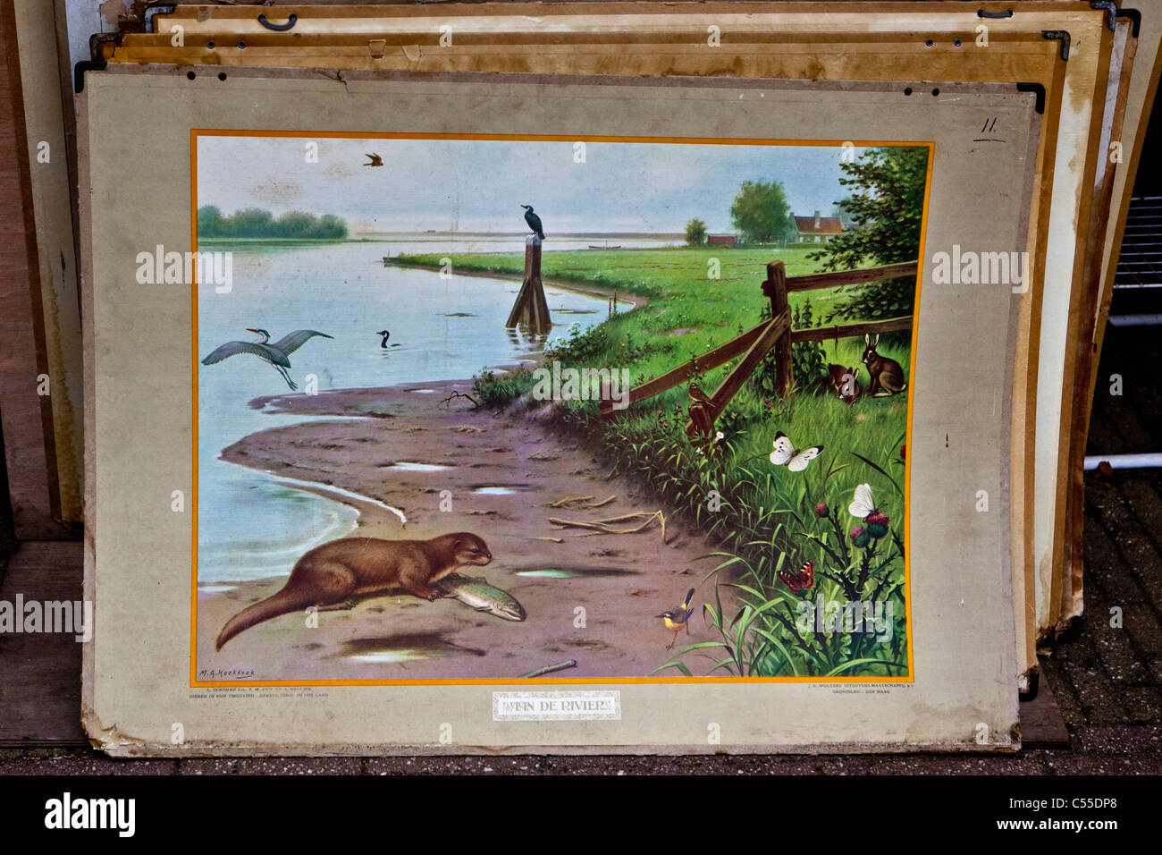 The Netherlands, Bredevoort, historical village. Antique books shop. Old painting, to educate children on nature in Holland. Stock Photo