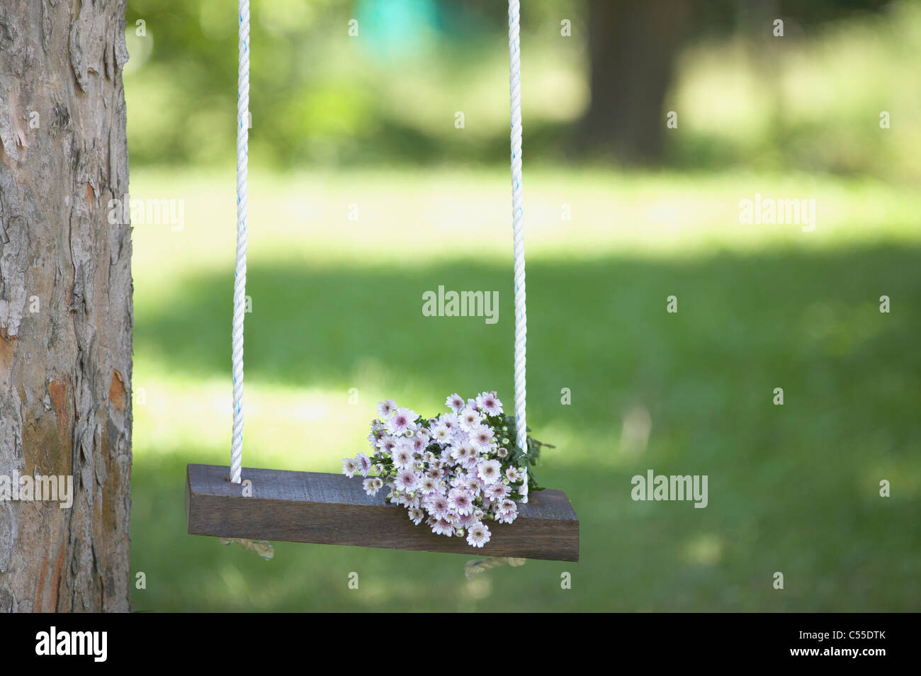 A swing hanging from the tree Stock Photo - Alamy