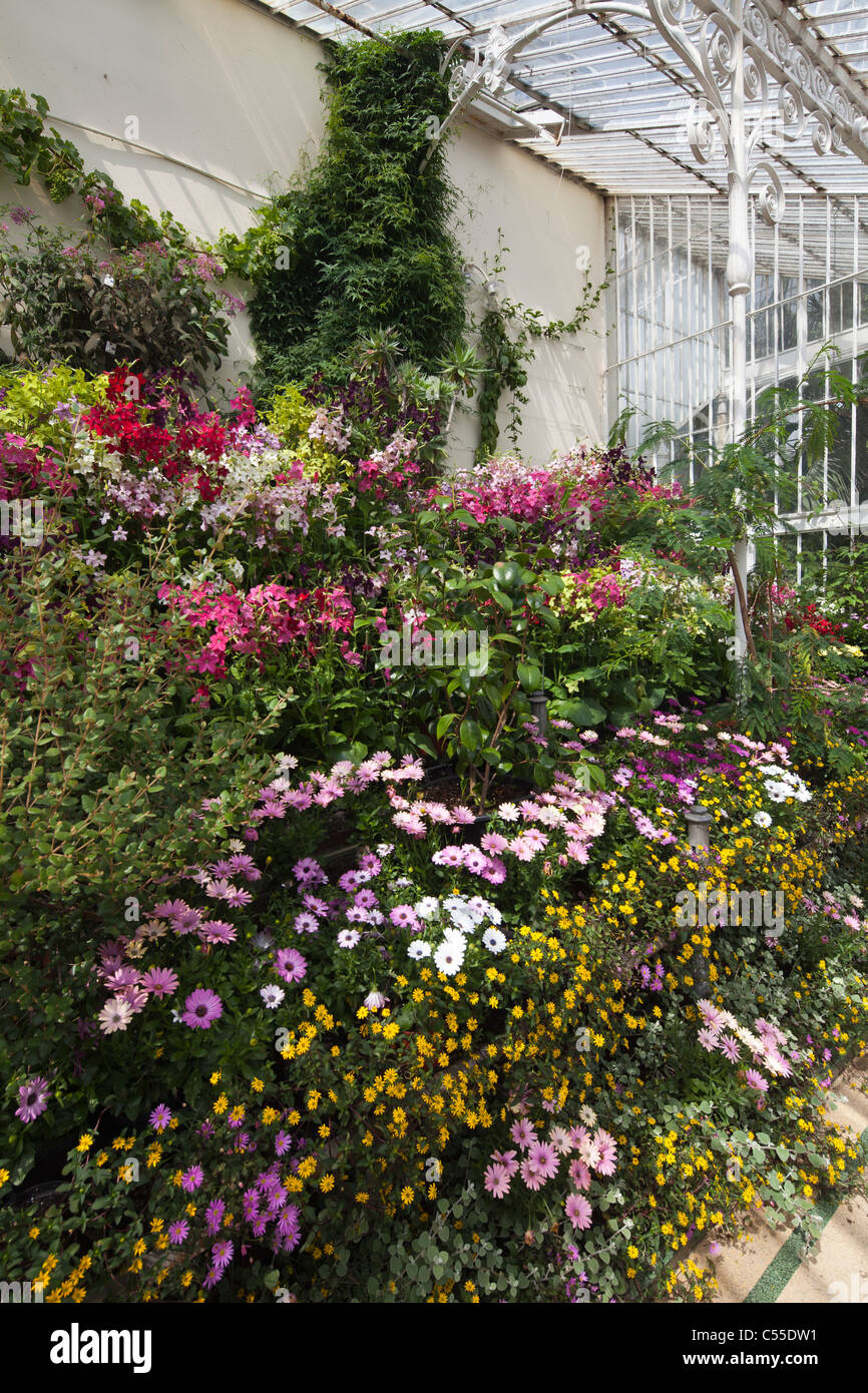 Inside palm house botanic gardens hi-res stock photography and images ...