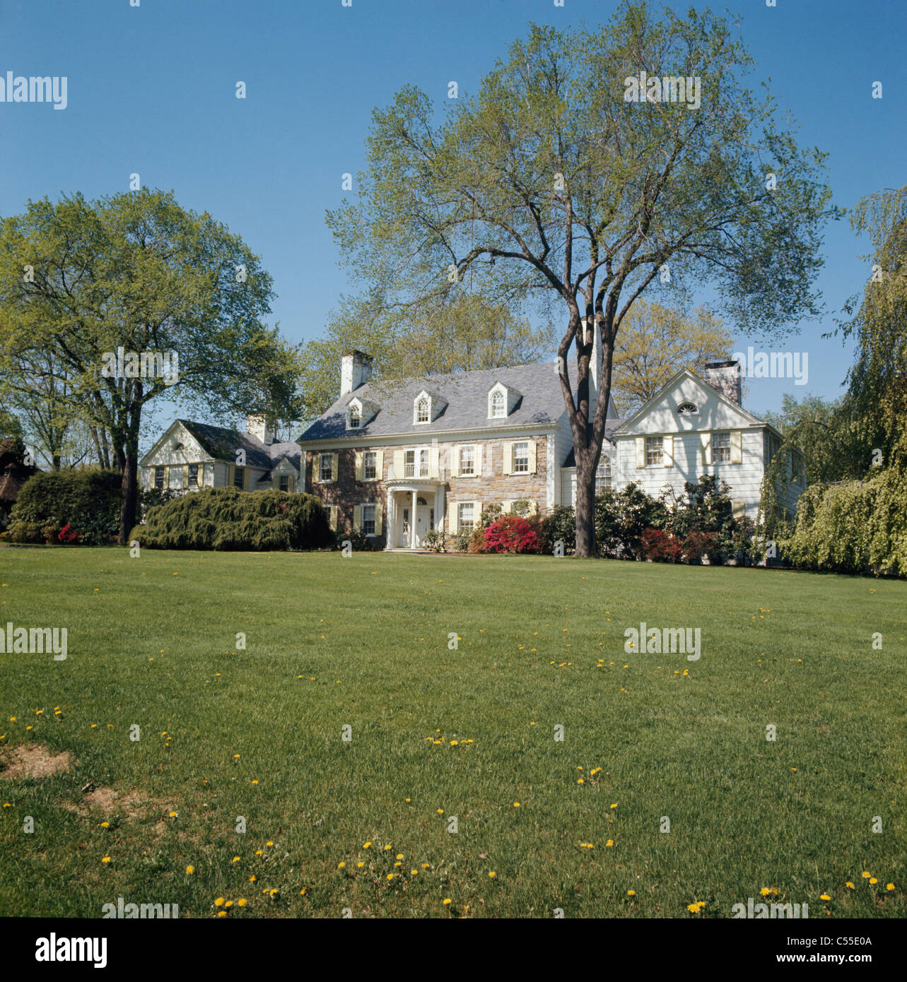 USA, New York, White Plains, house among trees Stock Photo