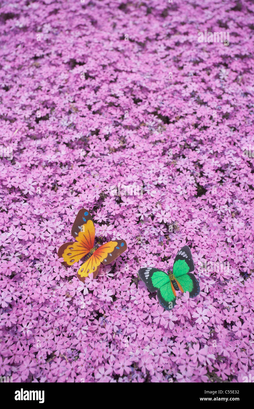 Wildflowers and butterfly hi-res stock photography and images - Alamy