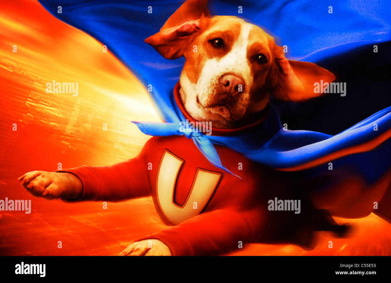 Underdog disney hires stock photography and images Alamy