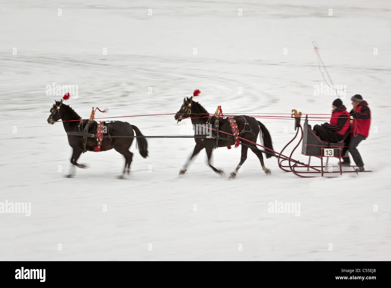 The Netherlands, Groningen, Contest of antique horse-sledges and traditional costumes Stock Photo