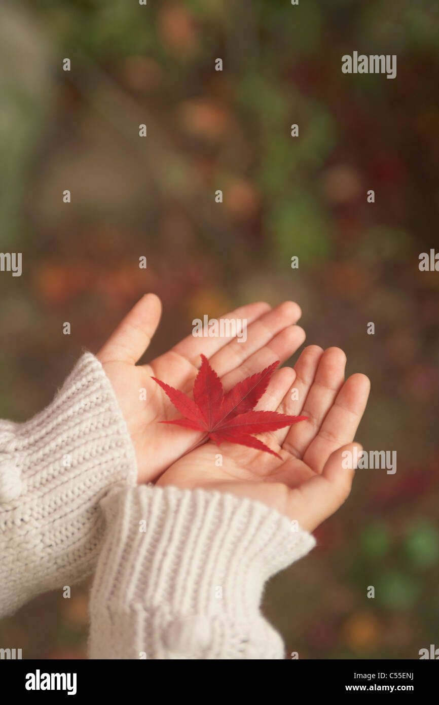 A person holding a maple leaf Stock Photo