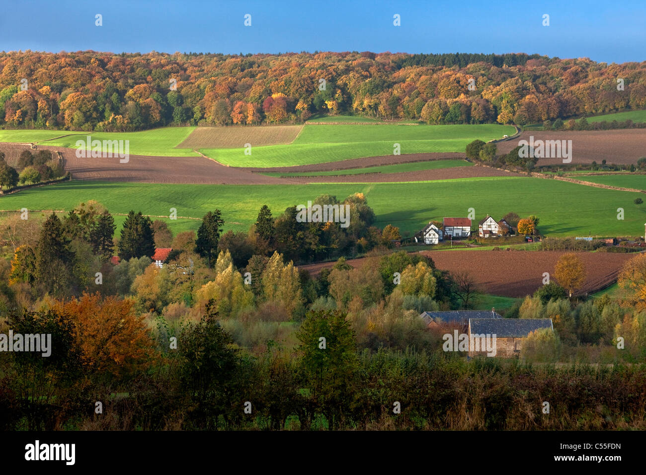 The Netherlands, Epen, Frame houses. Autumn colours. Stock Photo