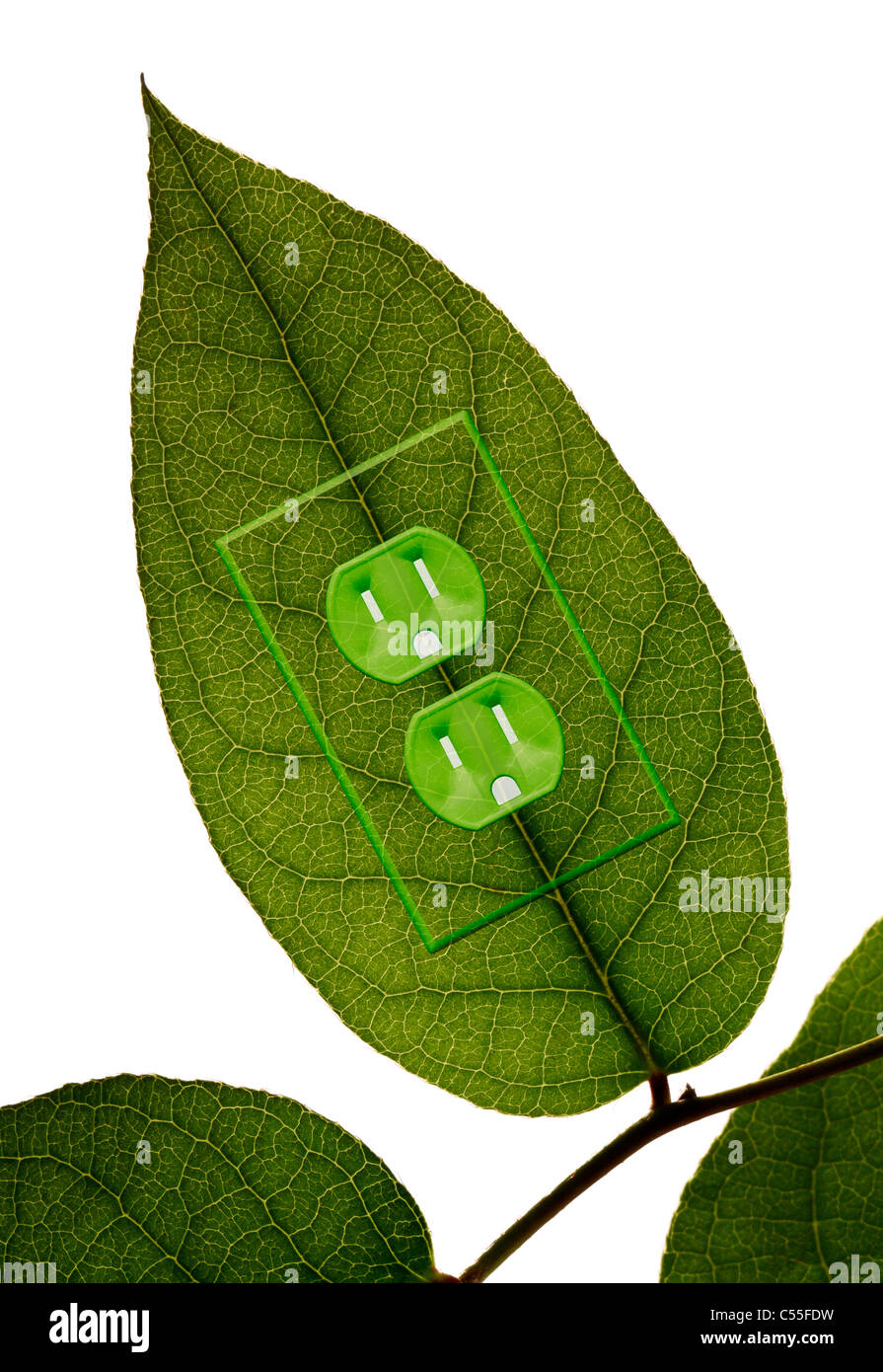 Green plant leaf with an electrical outlet Stock Photo Alamy