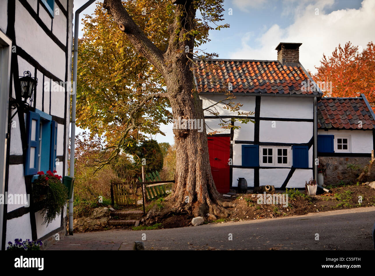 The Netherlands, Epen, Frame houses Stock Photo