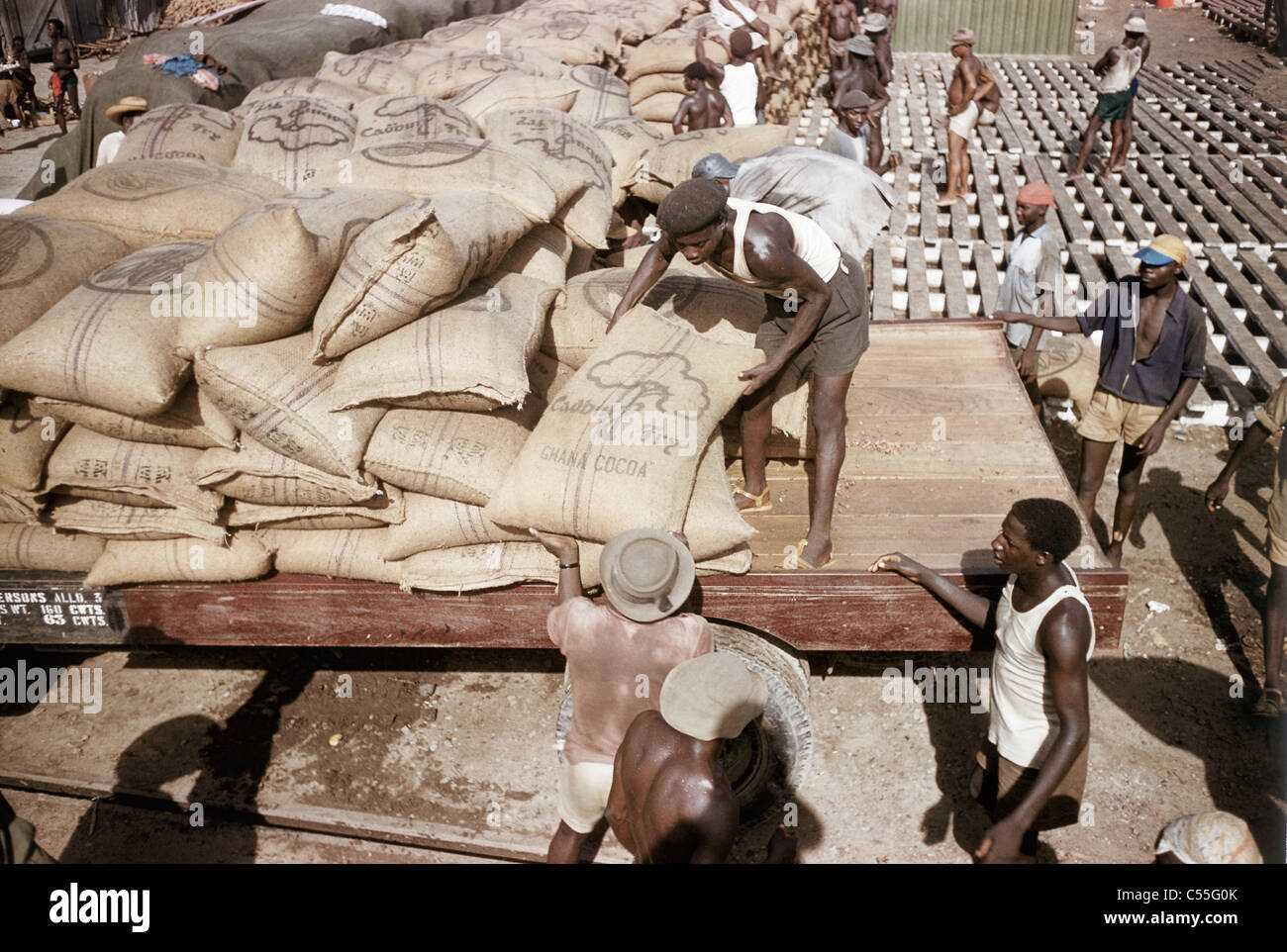 Ghana, Workers loading bags with cocoa for export Stock Photo Alamy