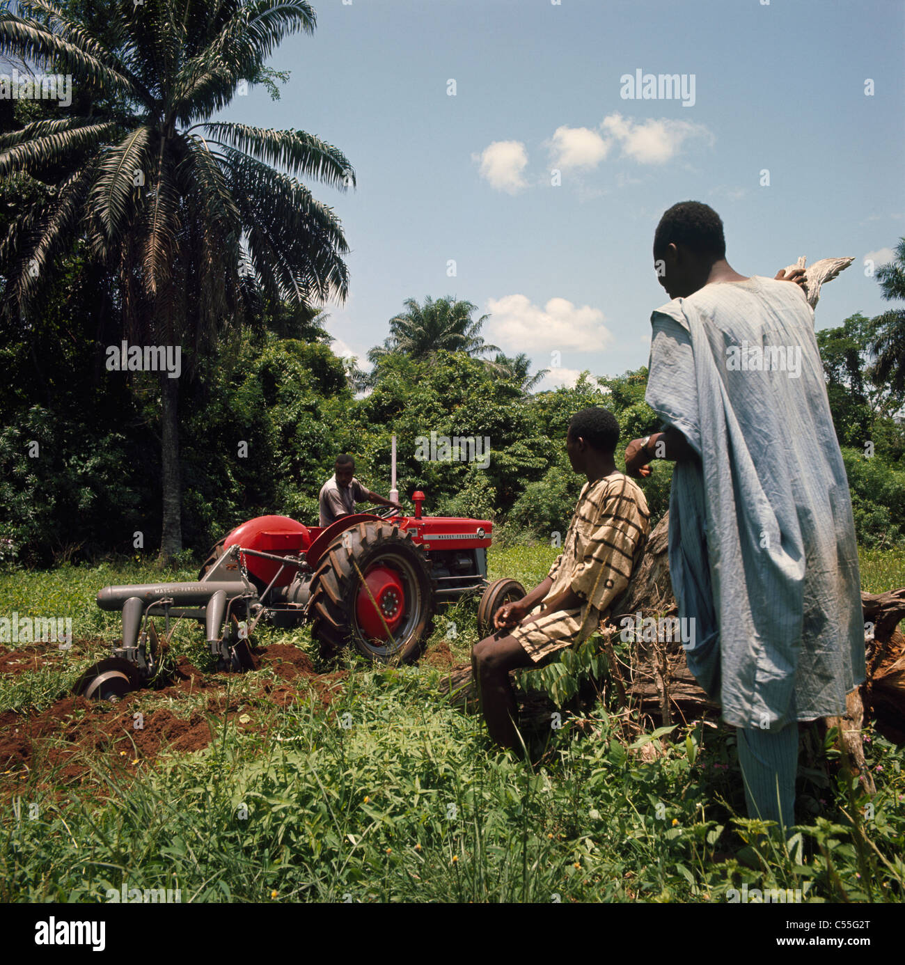 Nigeria, farmers plowing field Stock Photo Alamy
