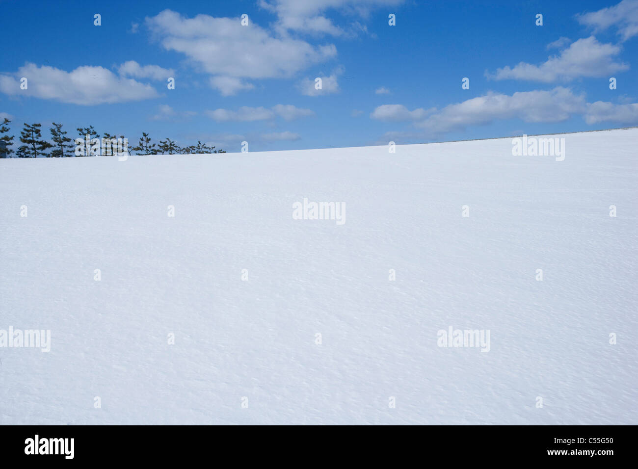 snow field under the big sky Stock Photo