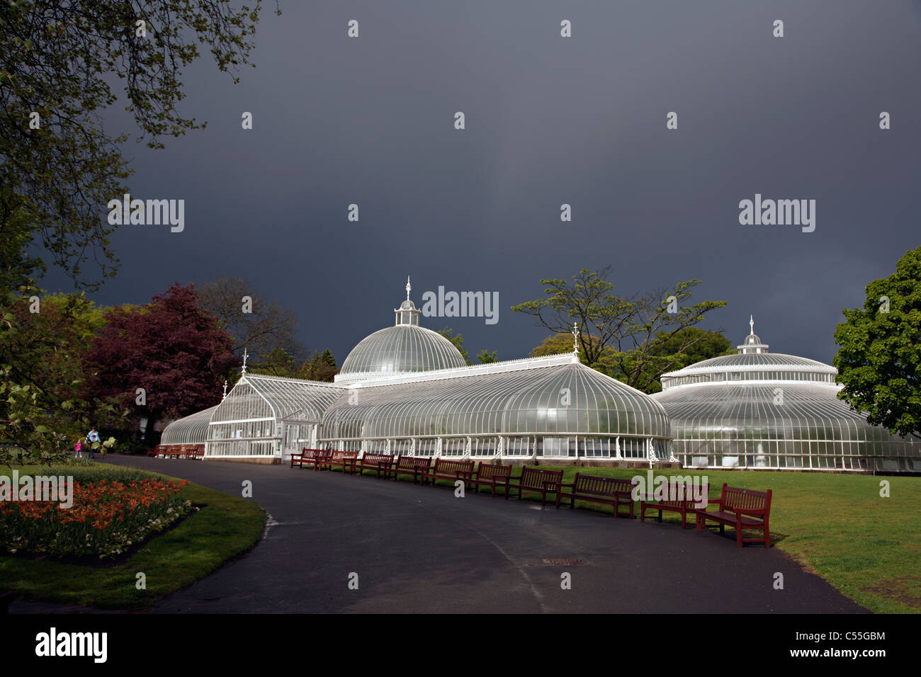 botanic gardens glasgow scotland Stock Photo Alamy