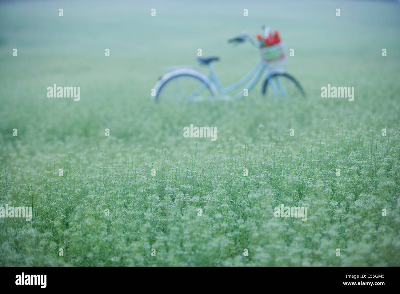 Flower cycle hi res stock photography and images Alamy