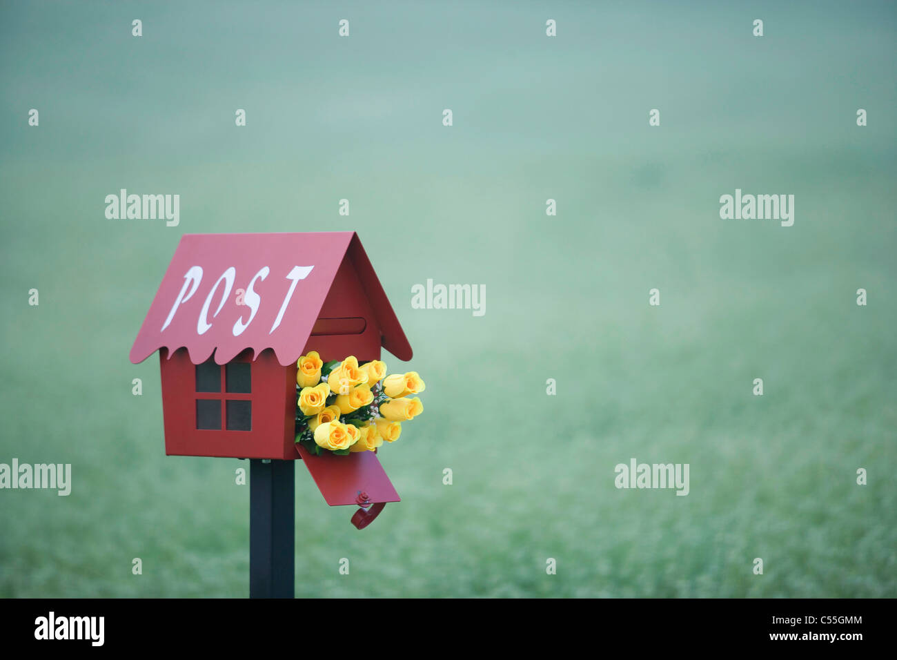 flowers in post box Stock Photo Alamy